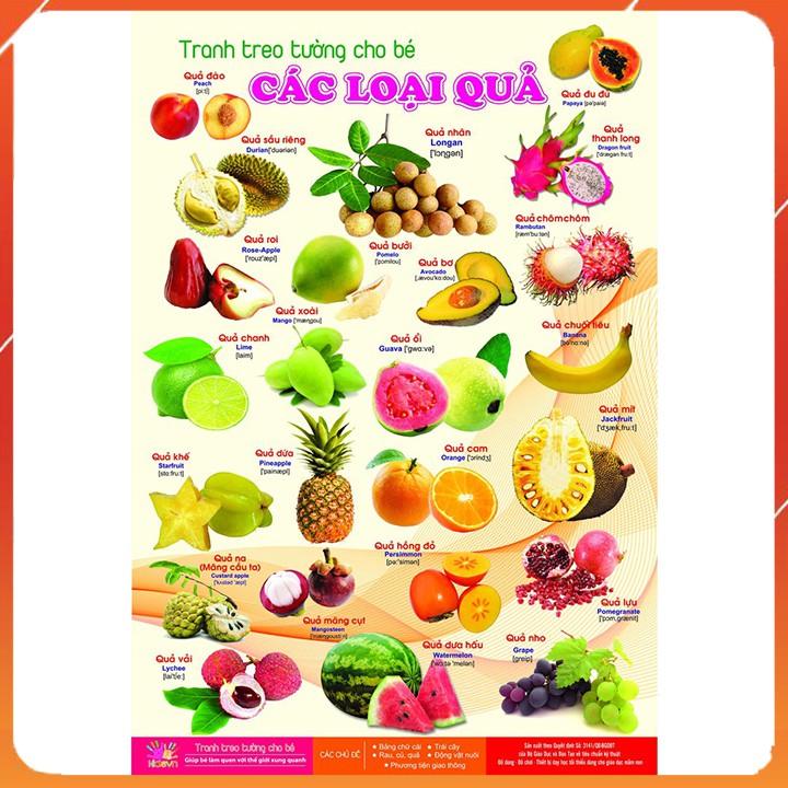 Bộ Tranh Treo Tường 14 Chủ Đề Giáo Dục Đầu Đời Cho bé 0-6 Tuổi