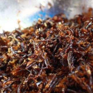 CÁ CƠM CHIÊN TỎI CHÍN TUY