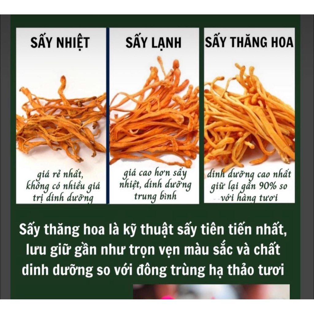Đông trùng hạ thảo sấy thăng hoa An Phước - Lọ 10gr
