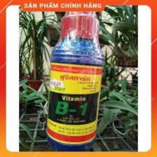 Vitamin B1 thái Lan Chai 1000ml