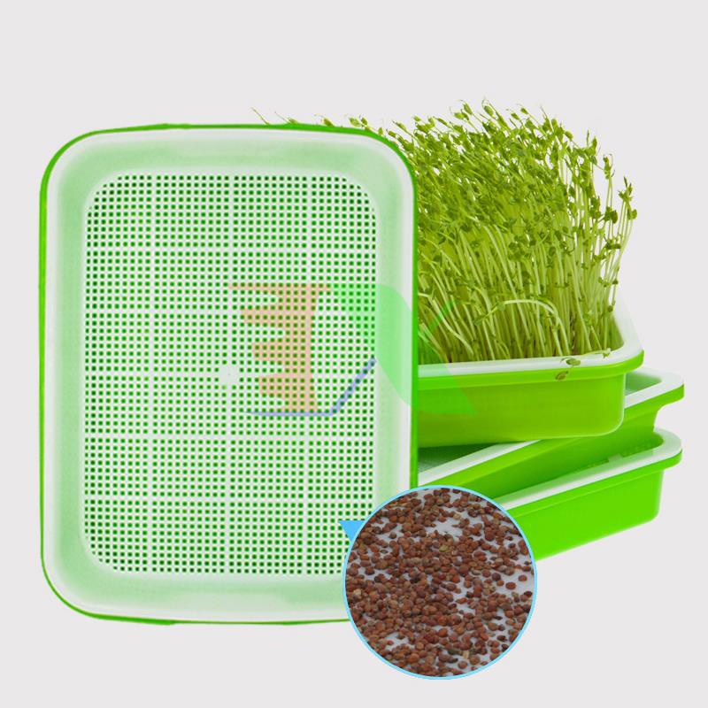 Combo Khay trồng Rau mầm Thủy canh 2 lớp CKM-4.2.200, Kèm Hạt giống, Bình xịt