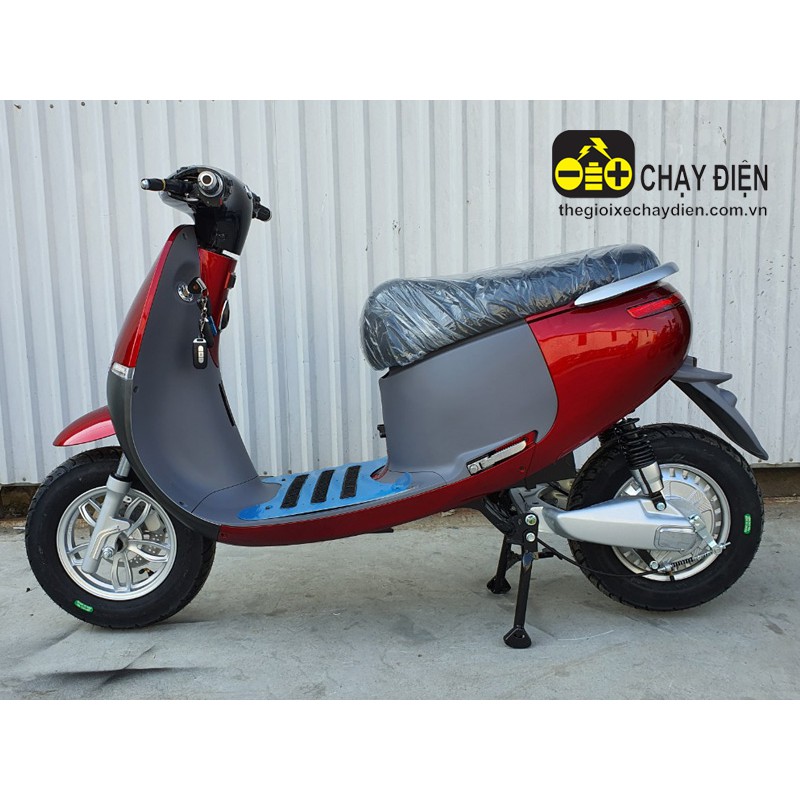 XE MÁY ĐIỆN TH CEO GOGO