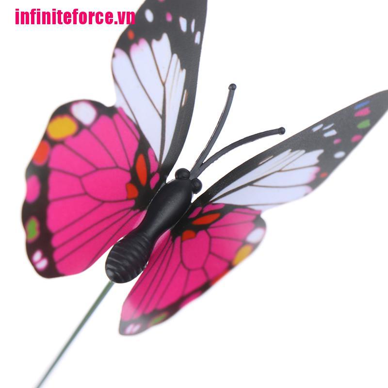 Bộ 10 Chậu Hoa 5xin Hình Bướm Nhiều Màu Sắc Trang Trí Vườn