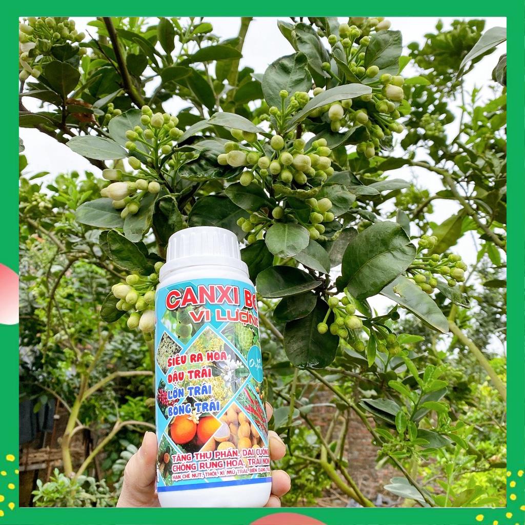 Phân Bón Lá Siêu Canxi Bo Vi Lượng, Hạn Chế Rụng Hoa, Tăng Đậu Quả, Chống Nứt Trái Chai 500ML VTNN NHẤT VIỆT