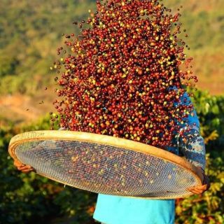 500g Cà phê rang xay daklak