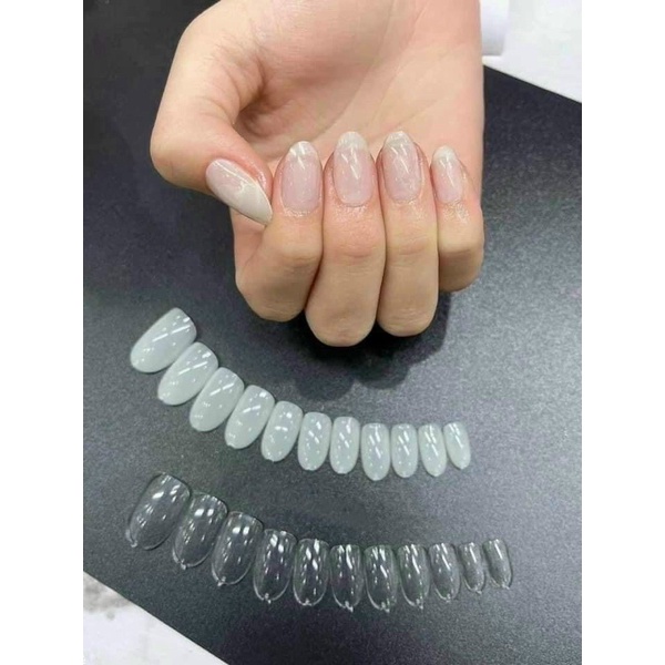 Móng Tròn Ngắn Form Hàn Quốc 2 Màu Trong Đục