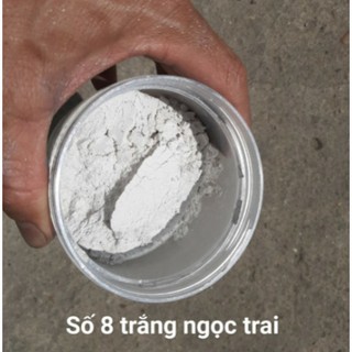 BỘT NHŨ MÀU ( Metalic ) gói 100g