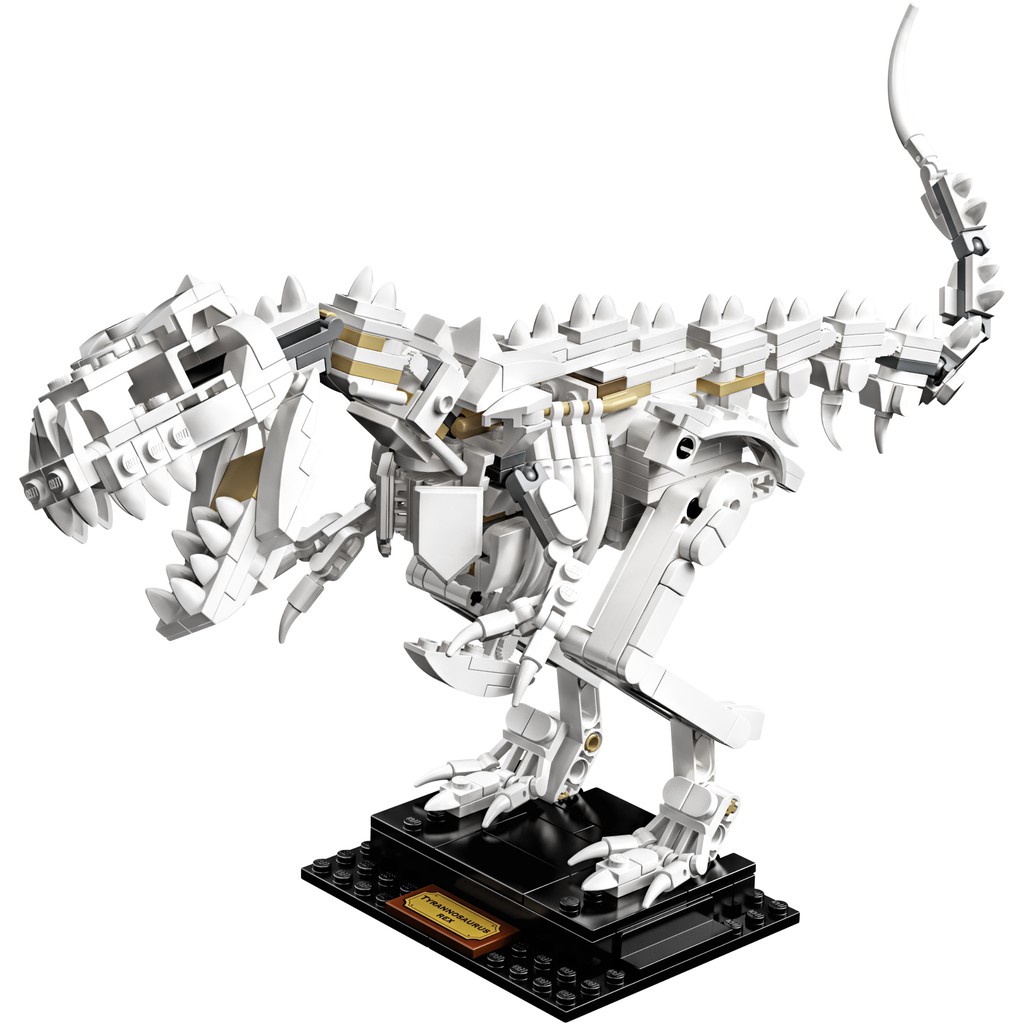 21320 Đồ chơi lắp ráp Iego Ideas Dinosaur Fossils - Hóa thạch khủng long