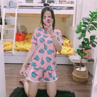 Đồ bộ đùi thun hoạt hình 3D (nhiều mẫu và hình thật 100% )
