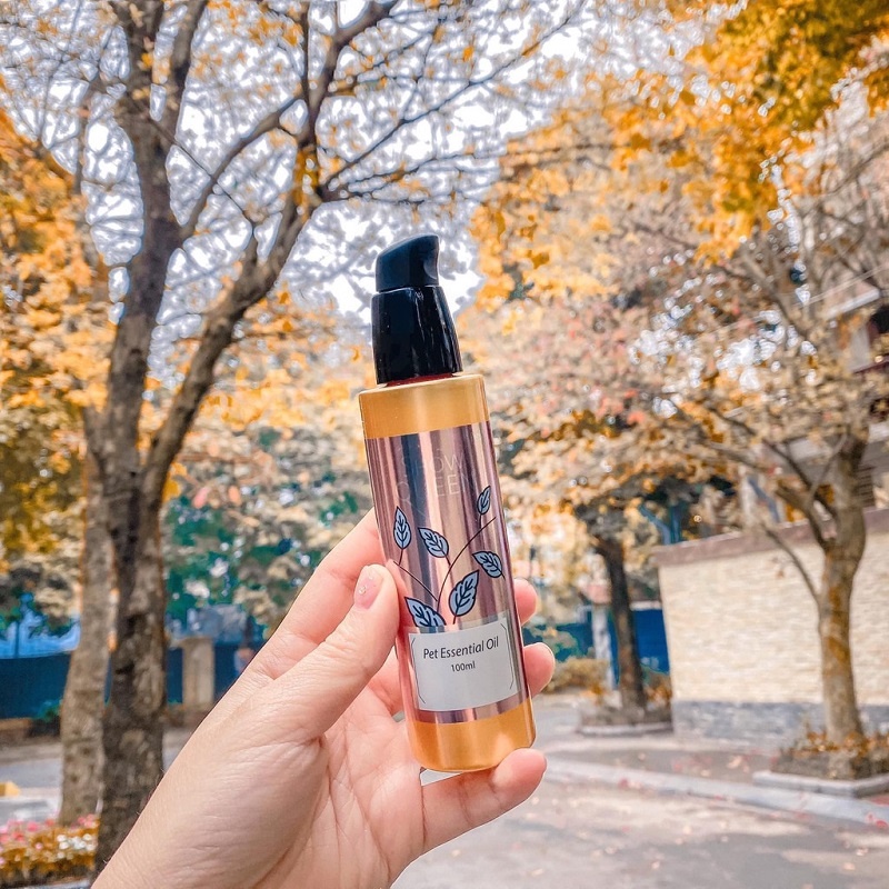 Tinh Dầu Show Queen Dưỡng Lông Khử mùi Hôi Cho Thú Cưng 100ml - Bản Auth