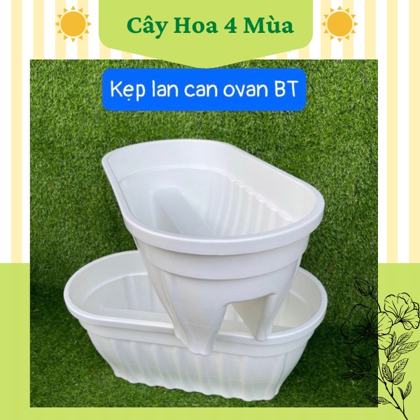 COMBO 2Chậu nhựa trồng cây hoa kẹp lan can ovan BT dày dặn loại 1