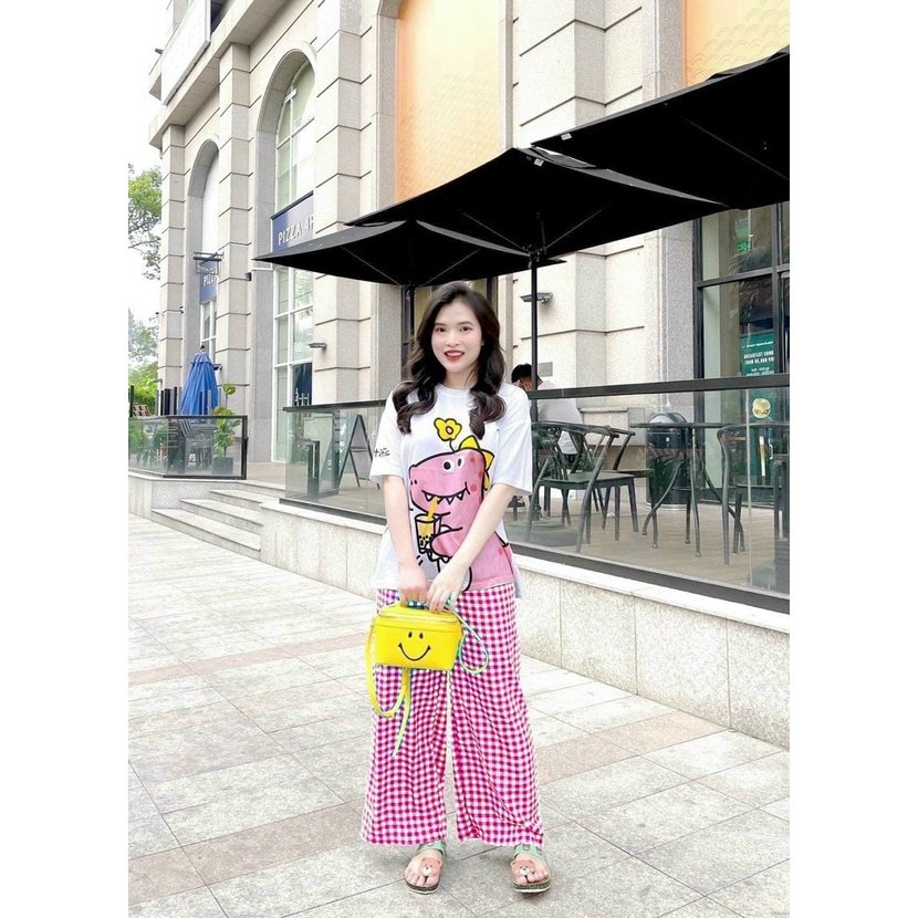 set bộ áo thun in khủng long mix quần suông dài carro k