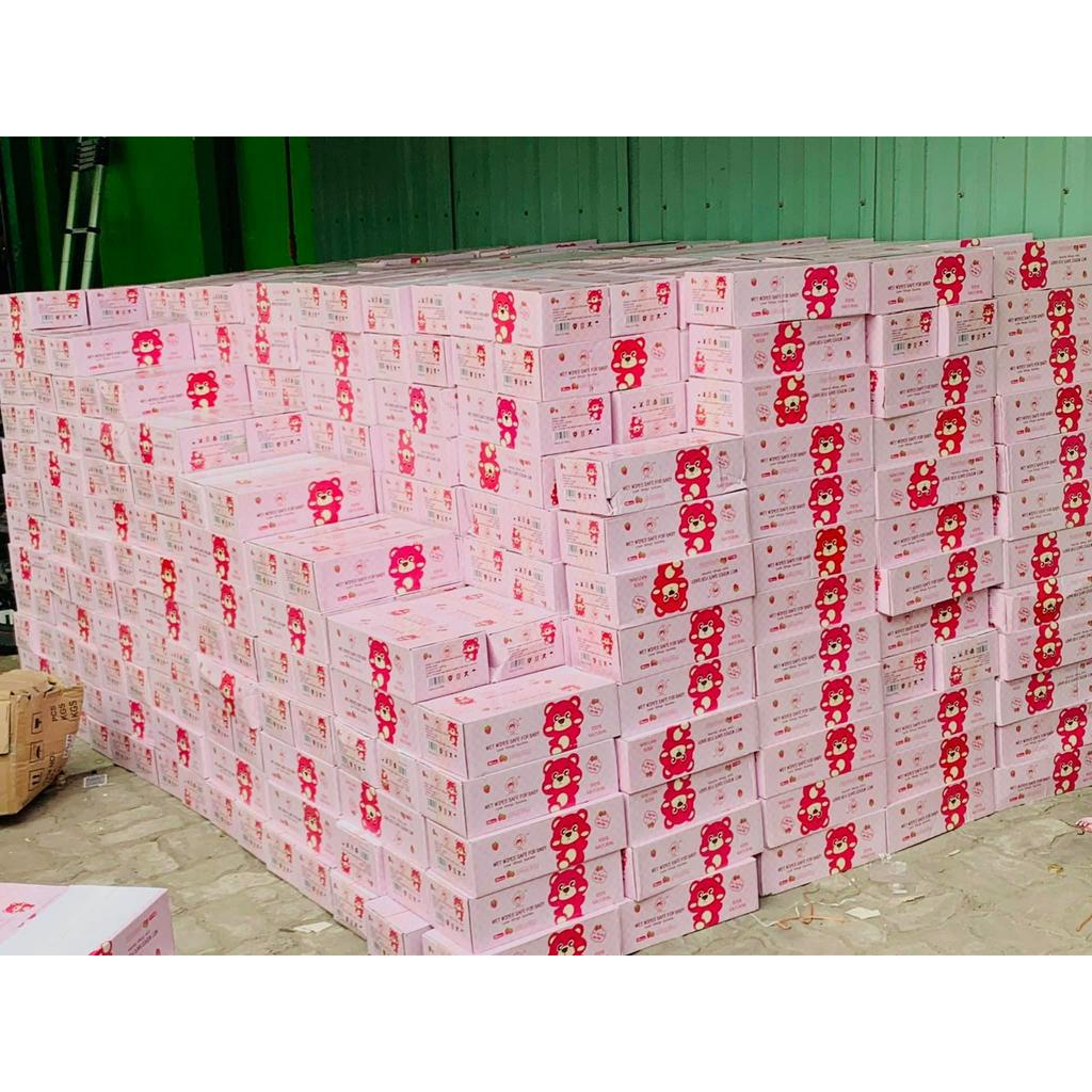 Khăn giấy ướt gấu dâu Losto