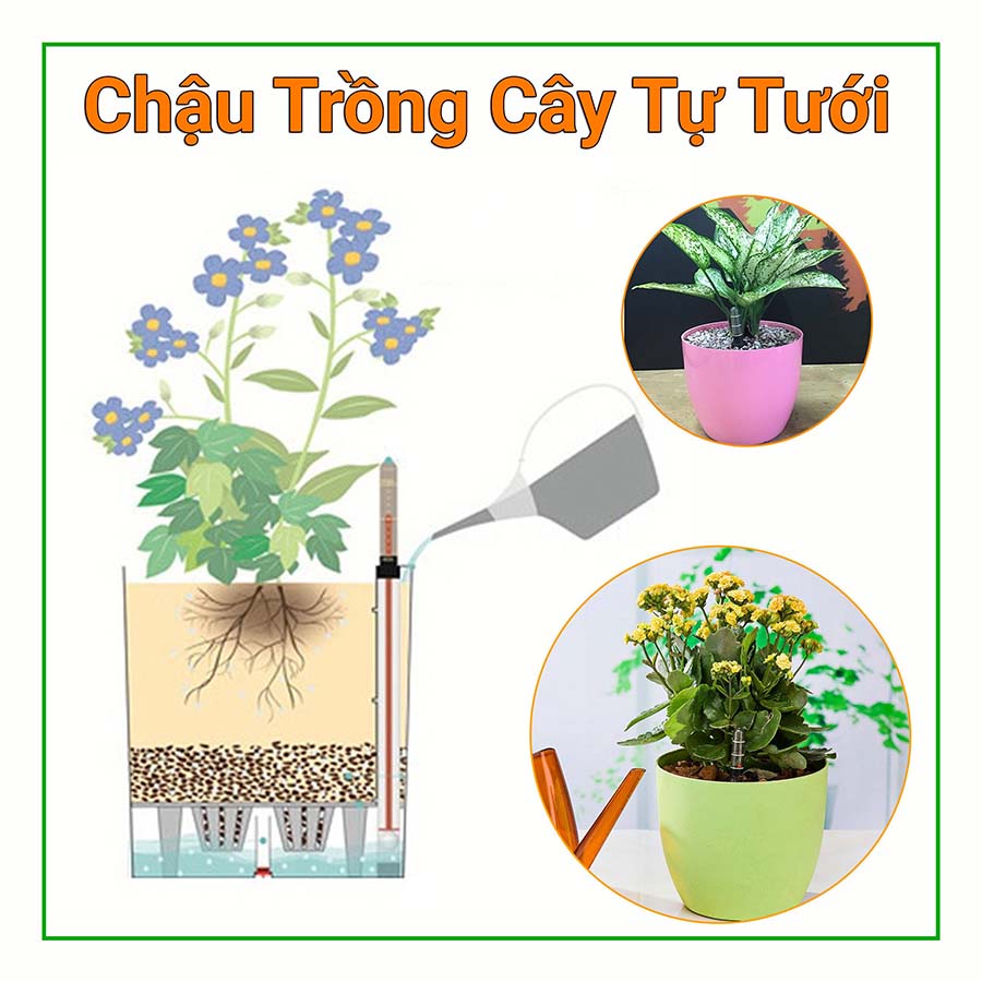 Chậu Trồng Cây Tự Dưỡng Tròn Bầu