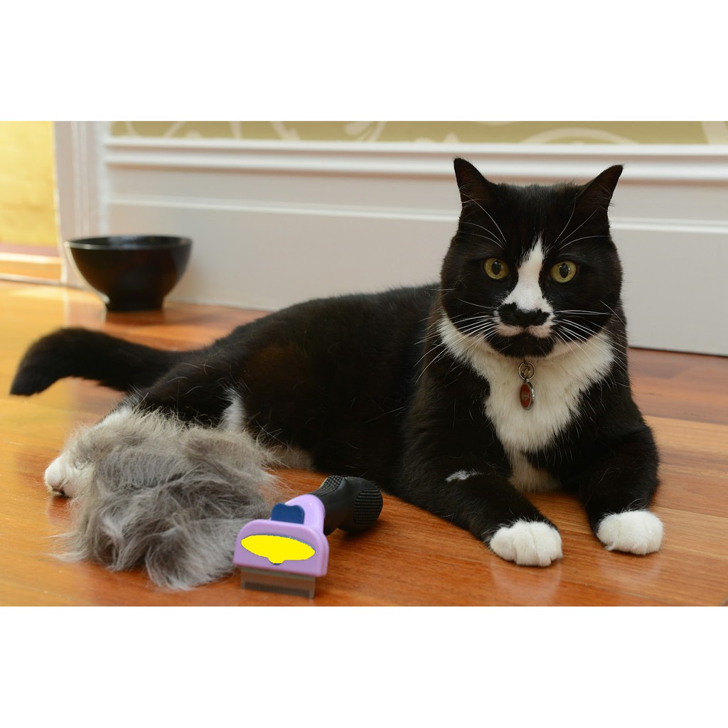 Lược deShedding tool chải lông chết cho mèo