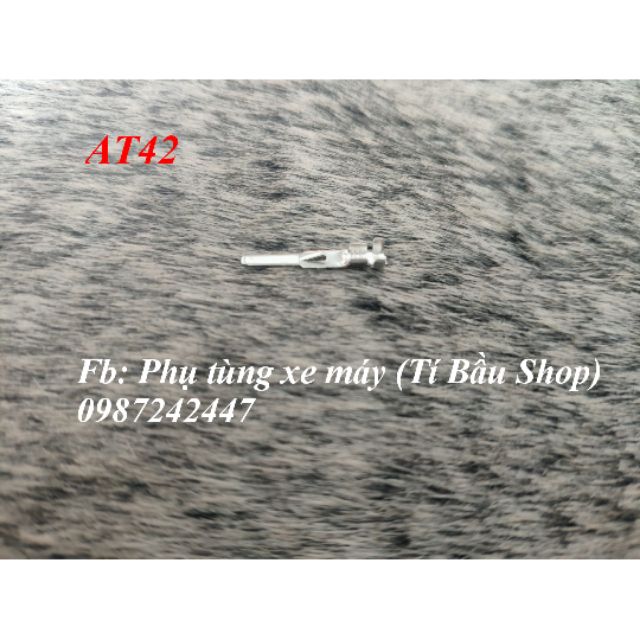 ĐẦU COS ĐỰC 2.2  - AT42