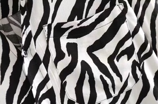 Áo sơ mi ngựa vằn zara