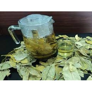Trà lá Dung Vân Canh – Bình Định
