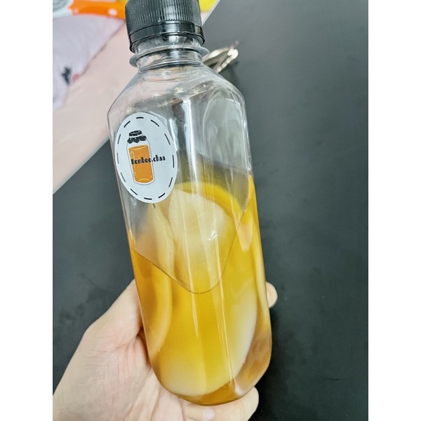 Con giống SCOBY mua 1 được 2 / Nấm men Kombucha kèm nước mồi sạch, khoẻ, thơm Đảm bảo thành công 100%