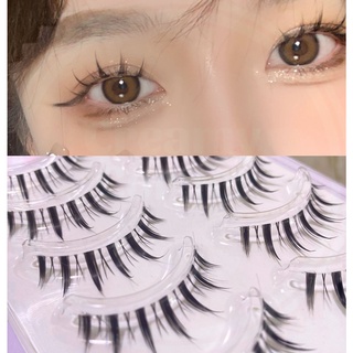 Mi giả trên make lolita teen tự nhiên mã C19