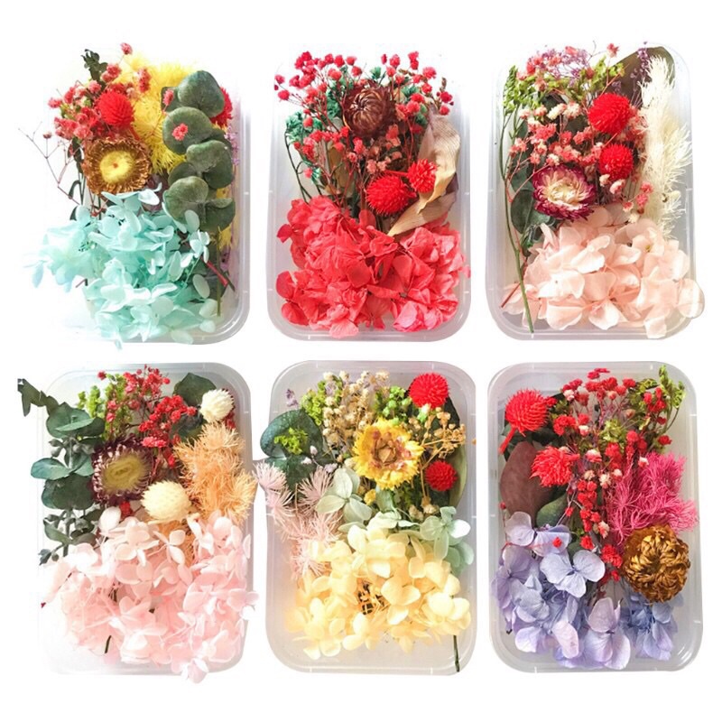 [Xả Kho] Hộp Hoa Khô mix tổng hợp trang trí resin nguyên liệu làm đồ handmade , thiệp , vòng hoa , r