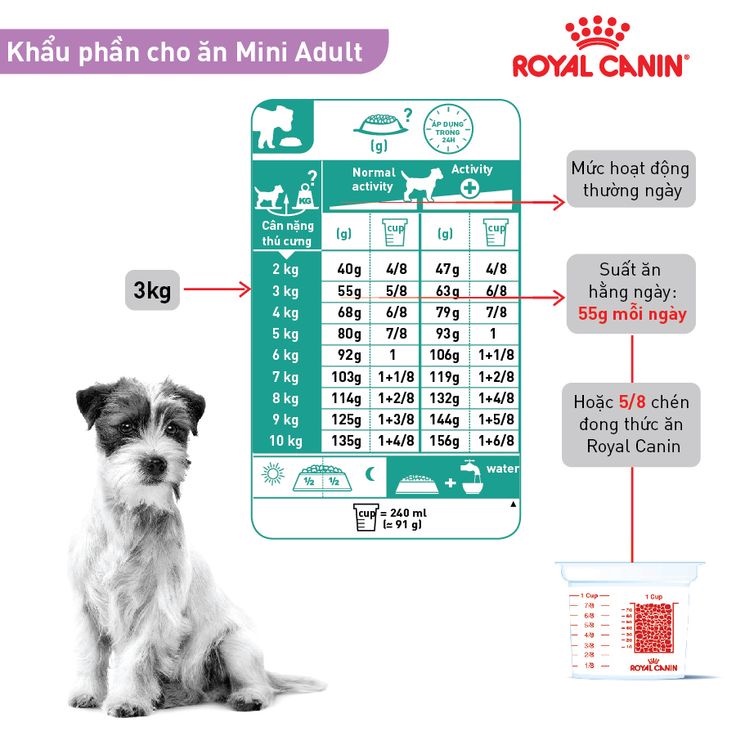 Đồ Ăn Royal Canin Mini Adult –  Thực Phẩm Hạt Khô - Thức Ăn Dành Cho Chó Nhỏ Trưởng Thành – Trọng Lượng Gói 2Kg