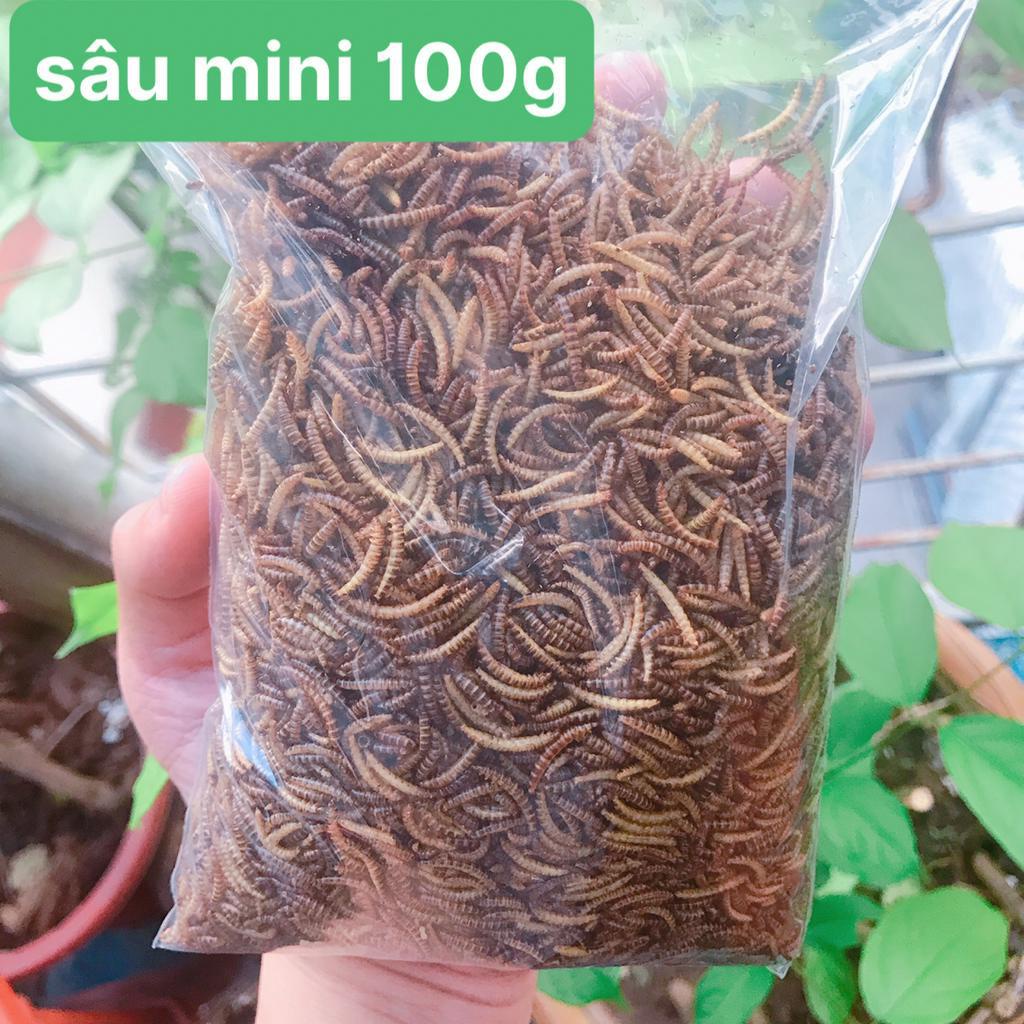 Sâu mini cho hamster, sâu cho hamster