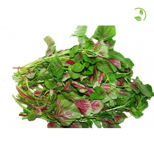 Hạt Giống Rau Dền Tía  PN 600 Phú Nông - Gói 20g - 50g - Amaranth Red & Green Leaves