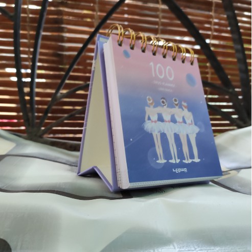 Sổ Kế Hoạch Lò Xo 100 Ngày - 100 Days Daily Planner Notebooks - 4 Cô Gái  - mẫu 4