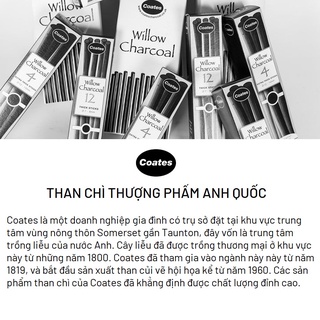 [ HỌA PHẨM TALENT ] - Chì than cây liễu ( Willow Charcoal ) COATES (Anh Quốc)
