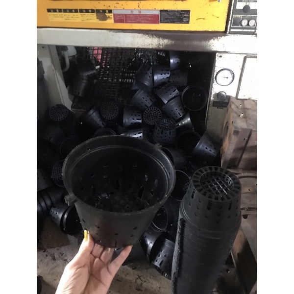 Chậu trồng lan Đen phi 18cm/ 21cm/ 23cm