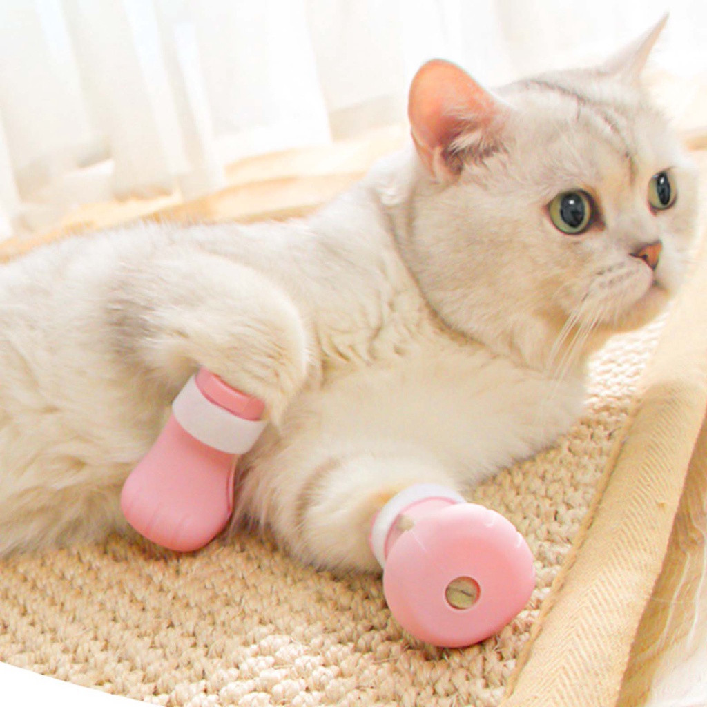 Bộ 4 Vỏ Bọc Silicone Hình Bàn Chân Mèo Có Thể Điều Chỉnh Cho Thú Cưng