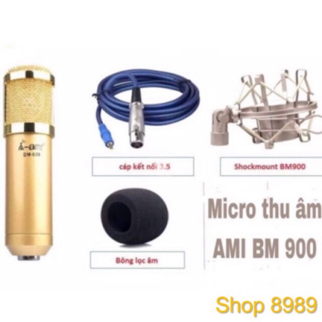 Mic Thu Âm Ami Bm900 Karaoke Online