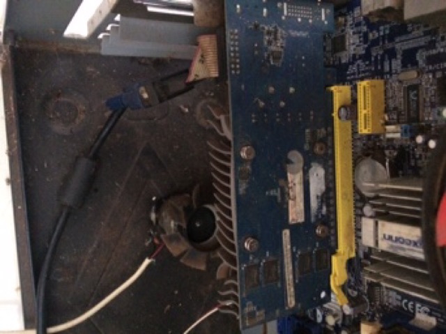 CARD MÀN HÌNH ASUS GIGA G210 LẮP ĐƯỢC CHO CÂY ĐỒNG BỘ MAIN G31 G41 , ....CHƠI MƯỢT LOL EST 2 AST SPINTIRE | BigBuy360 - bigbuy360.vn