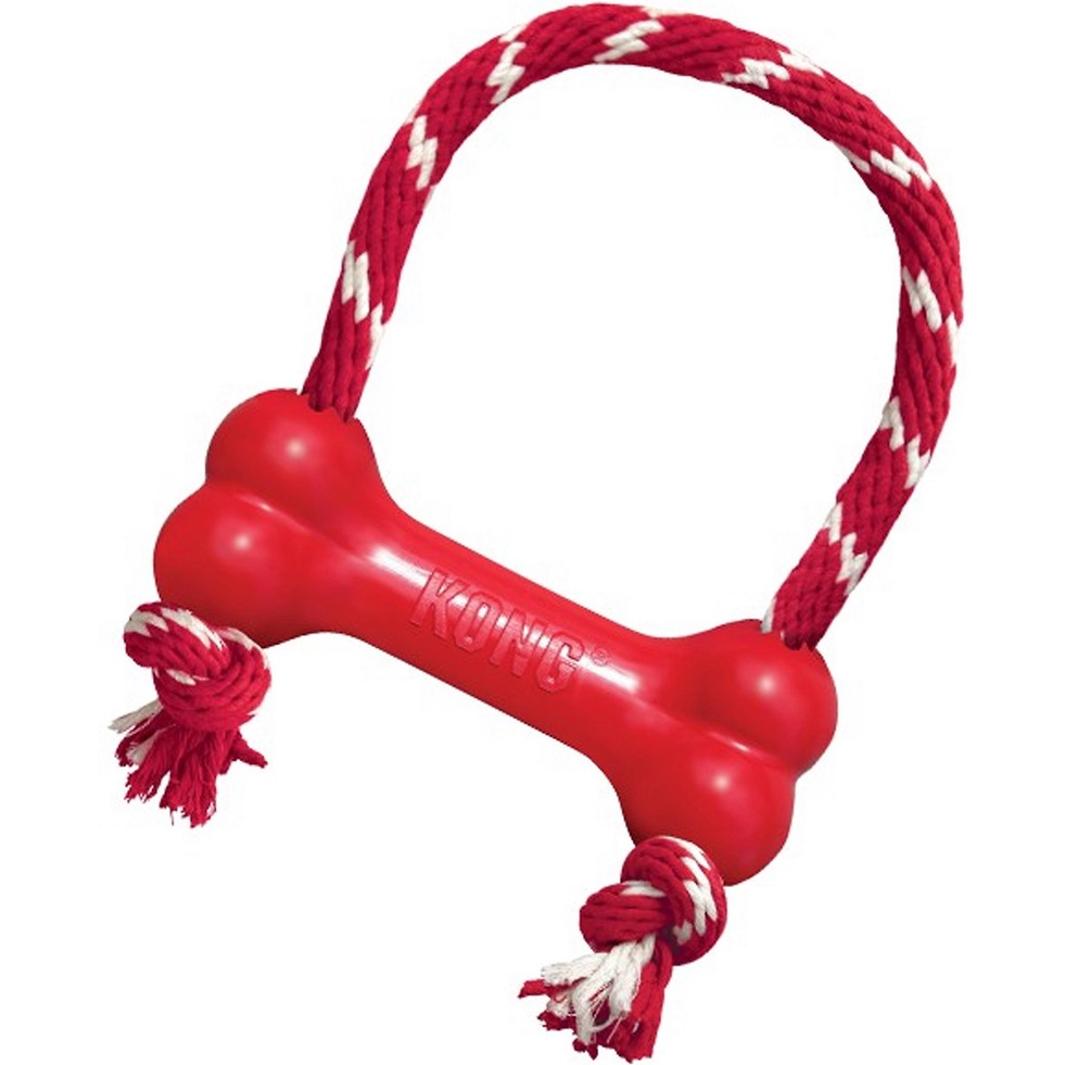 Đồ Chơi Cao Cấp KONG Goodie Bone Cho Chó Nhỏ 2KG