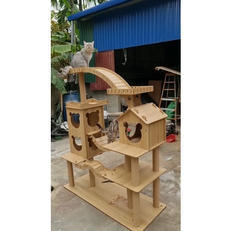 Cattre cầu tháp, nhà cây cho mèo siêu đẹp