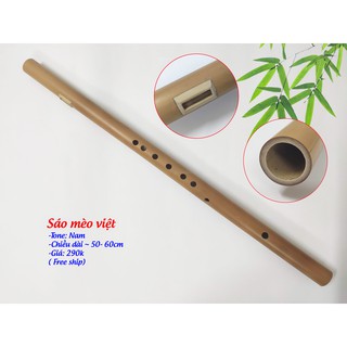 Sáo mèo việt ( Tone nam)