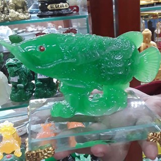 cá kim long phong thuỷ