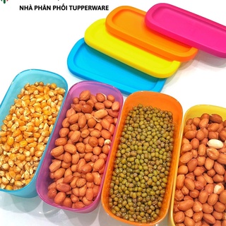 BỘ HỘP MINI RECTANGULAR 250ML (4)