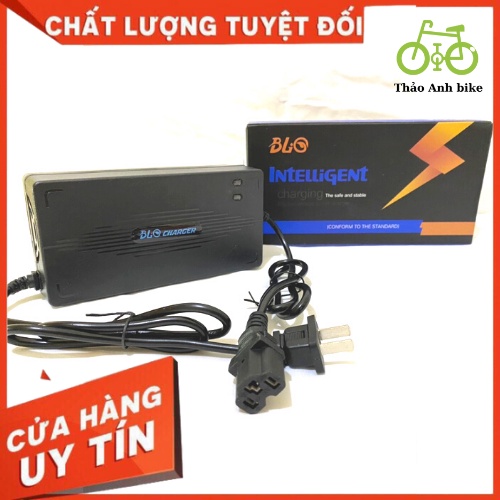 Sạc 48v-12a - sạc BLQ chính hãng cao cấp dành cho xe 4 bình