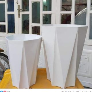 Combo 2 Chậu nhựa kim cương 8 cạnh đường kính 25cm