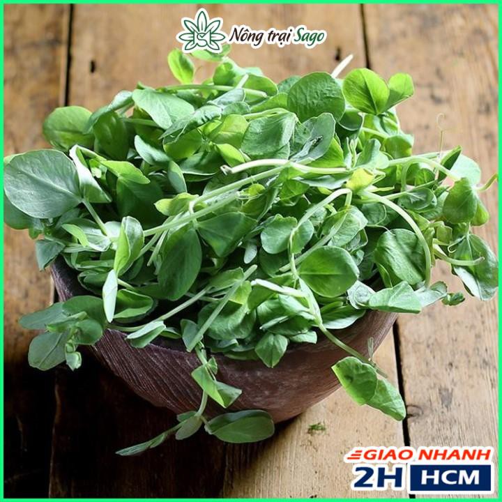 Hạt giống Rau Mầm Đậu Hà Lan Dễ Trồng, Nhanh Thu Hoạch (gói 50gr) - Nông Trại Sago