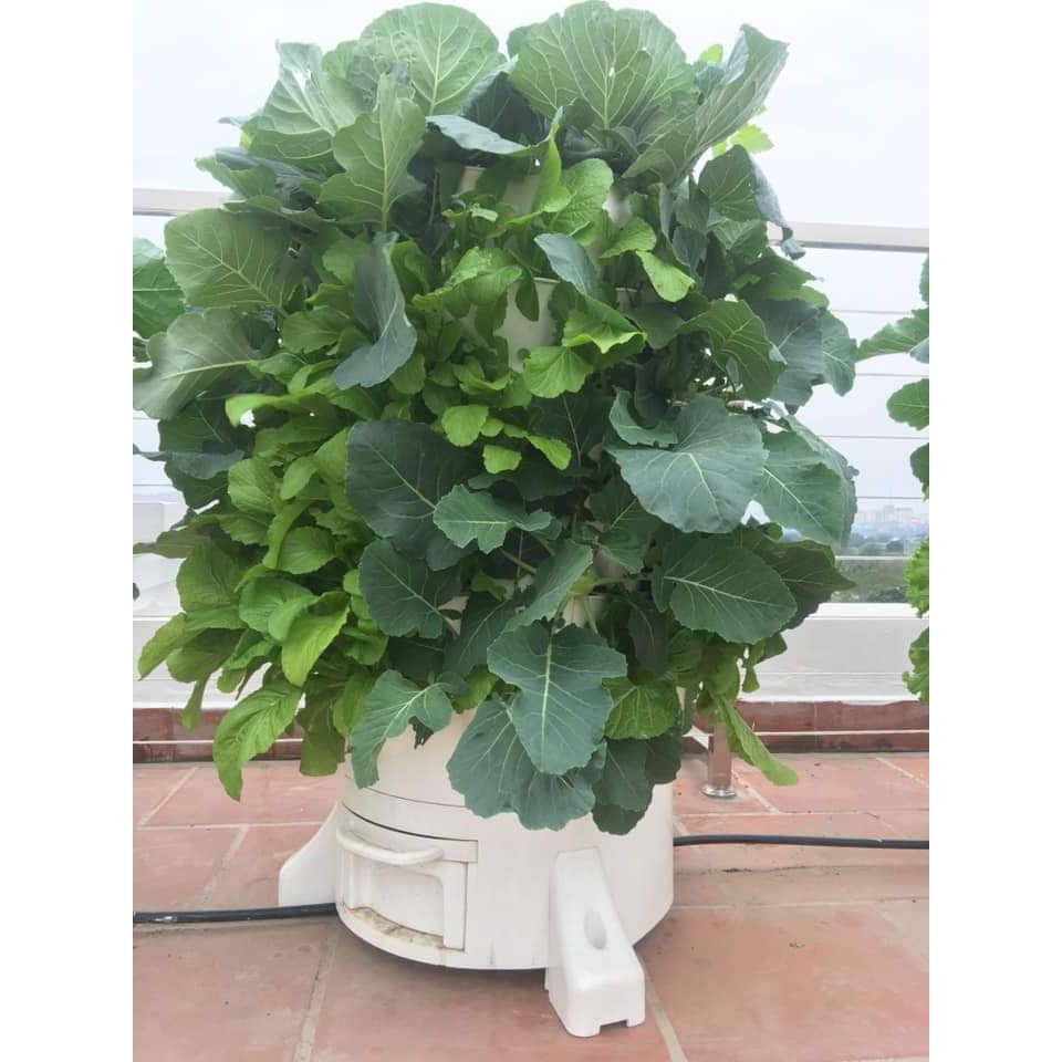 Tháp trồng rau hữu cơ Eco tại HCM