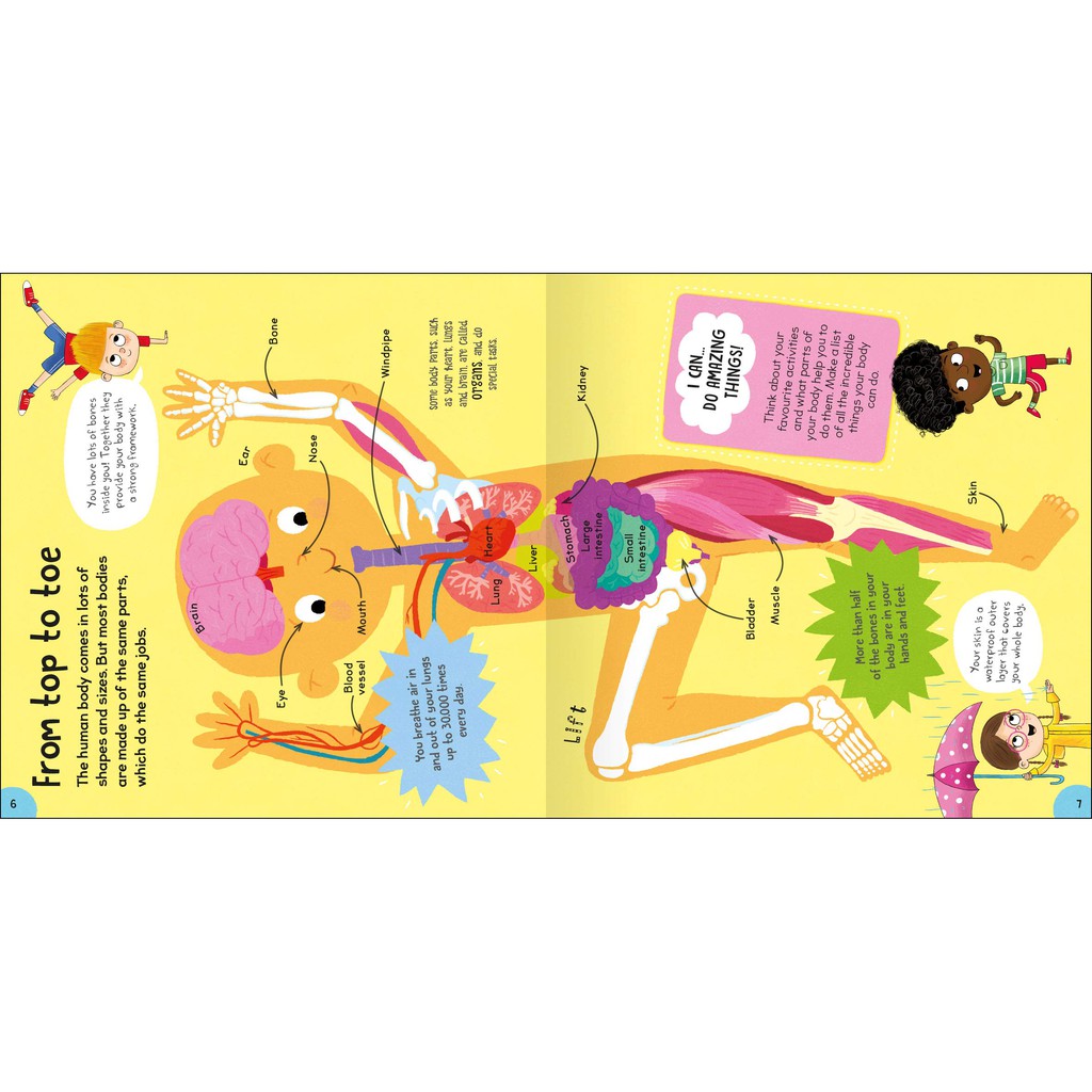 Sách Ngoại Văn - First Body Book - Miles Kelly | BigBuy360 - bigbuy360.vn