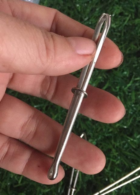 Cây luồn thun | BigBuy360 - bigbuy360.vn