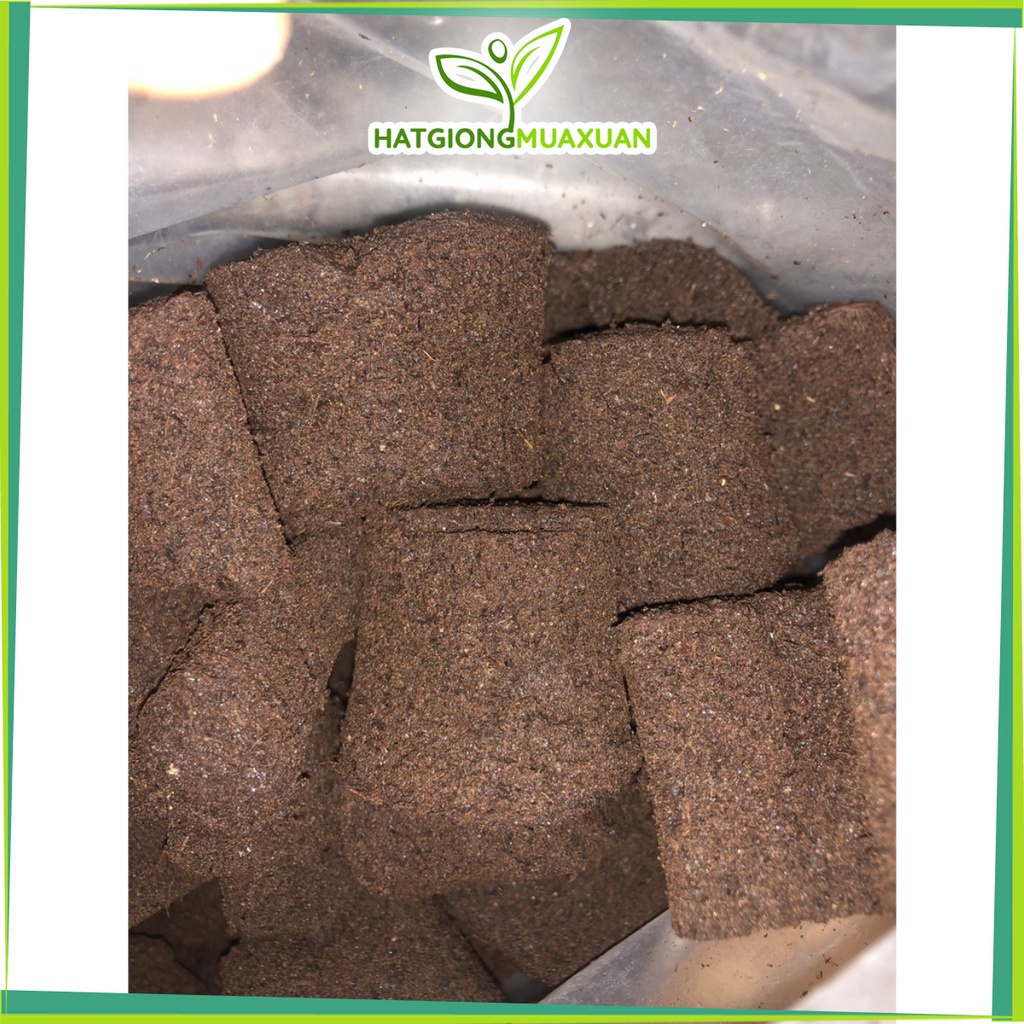 Viên mút ươm kie (Radiant) hữu cơ dành cho hoa lan phi điệp Peatmoss Hà Lan rẻ nhất