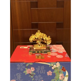 Cây tiền vàng đế thủy tinh cao 13cm