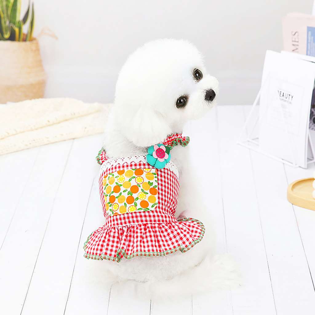 Váy kẻ sọc caro đáng yêu cho thú cưng