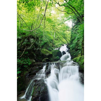 Tranh dán tường phong cảnh thác nước chảy êm đềm, thác mềm mại lấp lánh dưới ánh mặt trời