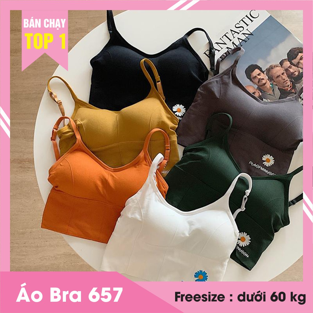 Áo bra nữ hình hoa cúc hàng Quảng Châu loại 1
